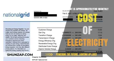 Electricity Costs: Monthly Expenses and Energy Usage