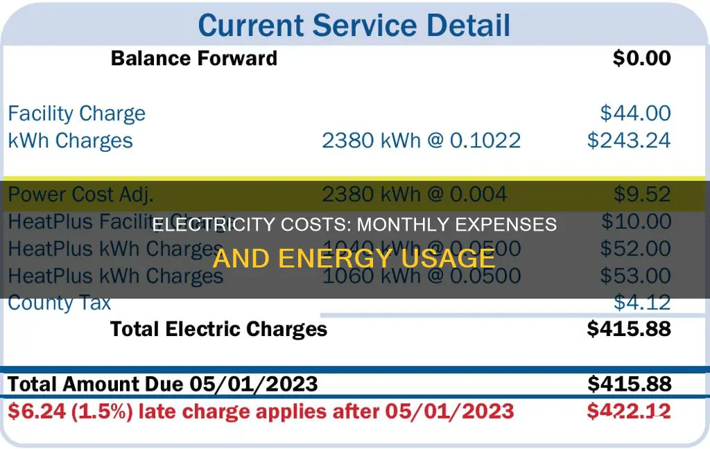 what is approximatelythe monthly cost of electricity