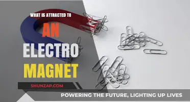 Magnetism: What Objects Does an Electromagnet Attract?