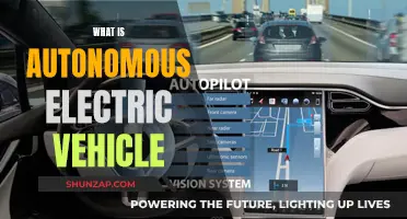 The Future of Driving: Understanding Autonomous Electric Vehicles