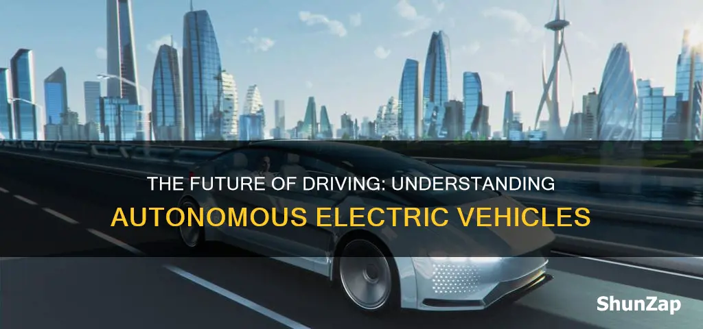 what is autonomous electric vehicle