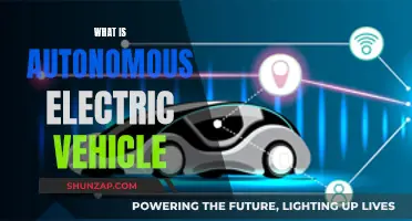 Autonomous Electric Vehicles: The Future of Self-Driving Cars