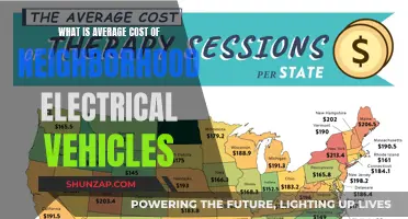 Neighborhood Electrical Vehicles: Affordable, Sustainable, and Cost-Effective