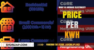 Electricity Pricing: Understanding the Cost of Power