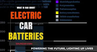 The Dark Side of Electric Car Batteries: Environmental and Ethical Concerns