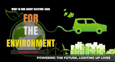Electric Cars' Environmental Downsides: Hidden Costs and Sustainability Concerns