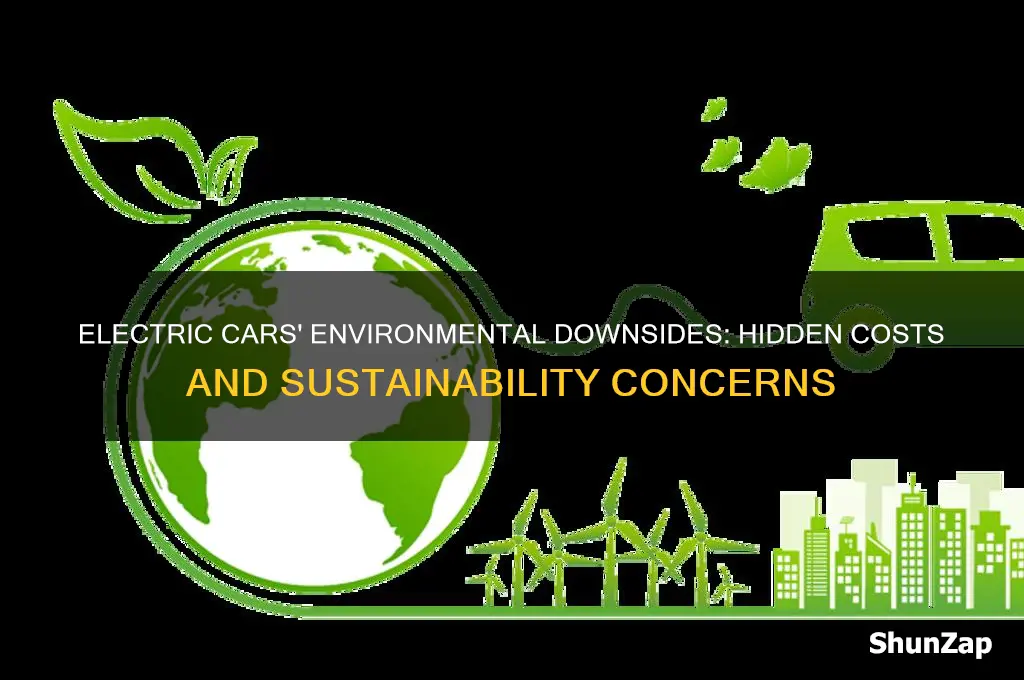 what is bad about electric cars for the environment
