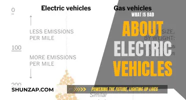 The Dark Side of Electric Vehicles: Unveiling the Hidden Costs and Challenges