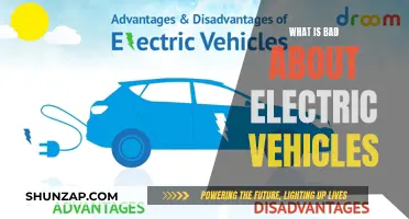 Electric Vehicles: The Dark Side of the Revolution