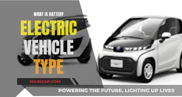 Electric Vehicles: Understanding the Battery-Powered Type