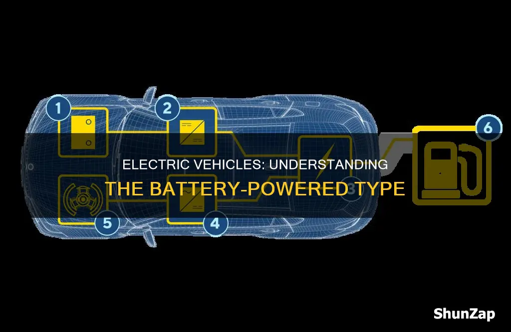 what is battery electric vehicle type