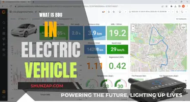 Unveiling BDU: The Secret Power in Electric Vehicles