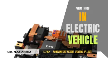 Electric Vehicles: Understanding the BDU Factor
