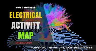 Brain Mapping: Unlocking the Brain's Electrical Activity