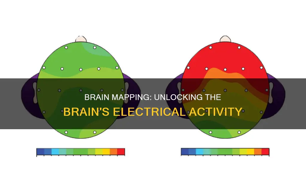 what is beam-brain electrical activity map