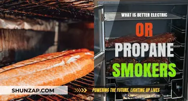 Electric vs Propane Smokers: Which is Superior?