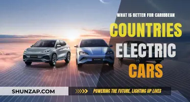 Electric Cars: A Sustainable Future for Caribbean Nations?