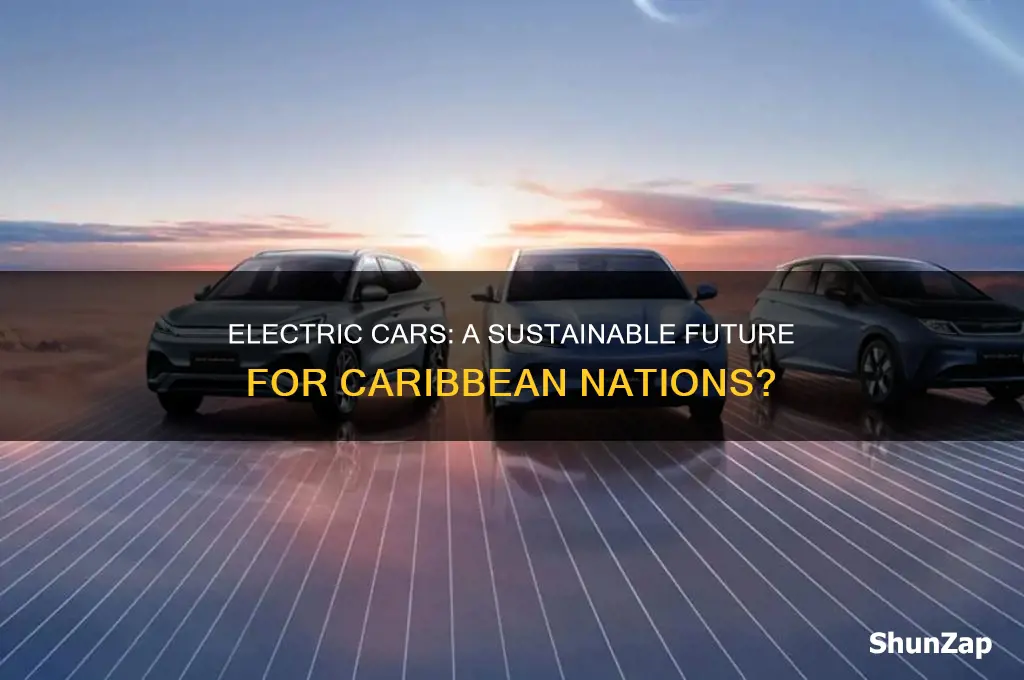 what is better for caribbean countries electric cars