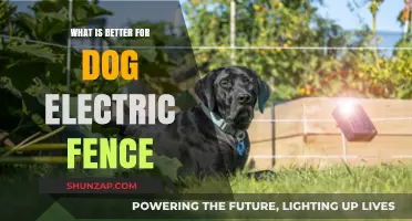 Electric Fences: Are They Safe for Dogs?