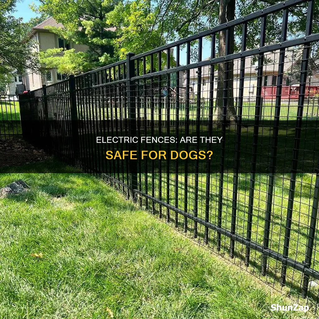 what is better for dog electric fence