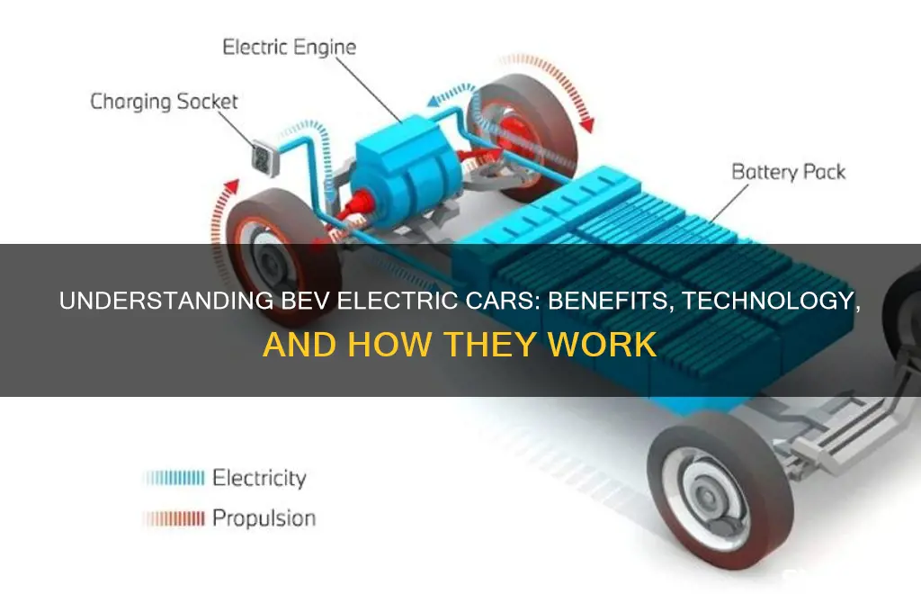 what is bev electric car
