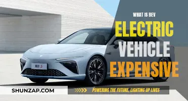 Why Bev Electric Vehicles Cost More