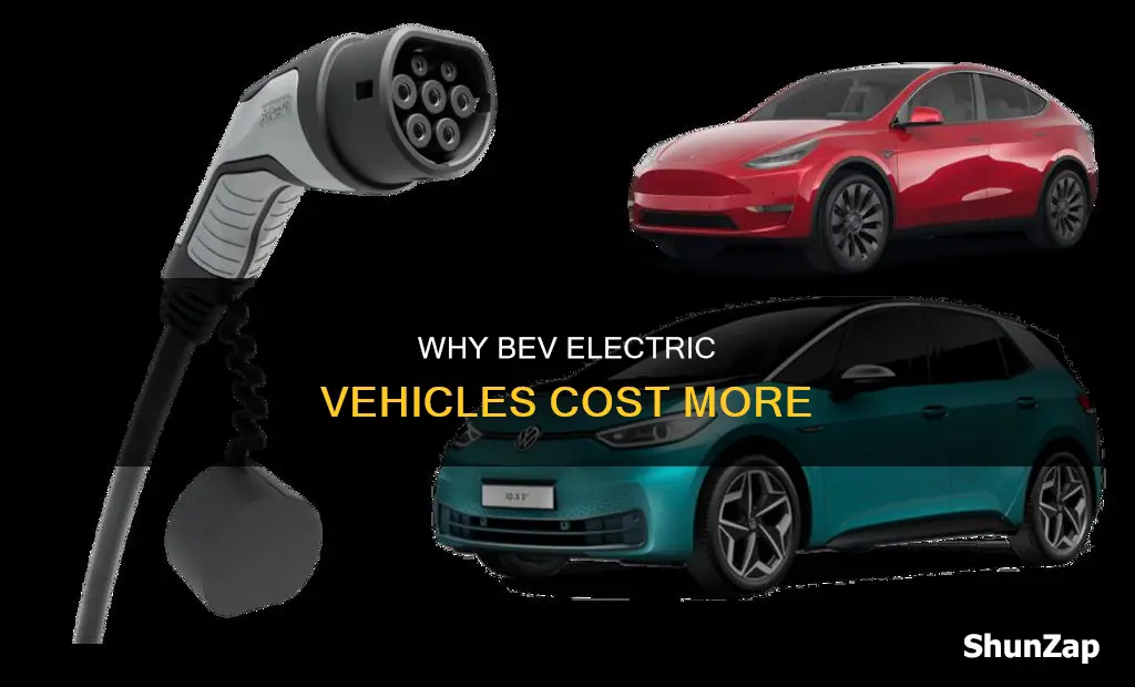 what is bev electric vehicle expensive