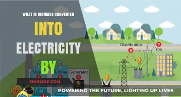 Biomass Electricity: Powering a Sustainable Future