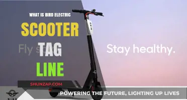 Bird's Tagline: Electric Scooters Take Flight