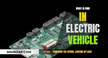 Unraveling BMS: Powering Electric Vehicles with Smart Battery Management