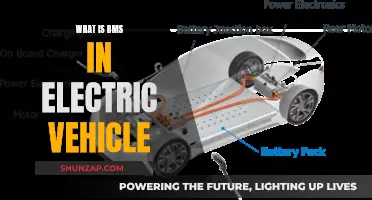 Understanding Electric Vehicle Technology: BMS Systems Explained