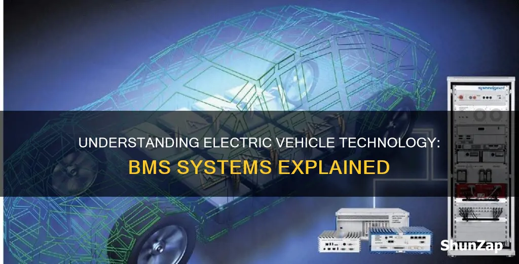 what is bms in electric vehicle
