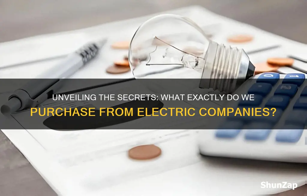 what is bought from an electric company