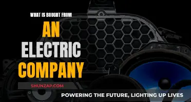 Electric Company Offerings: Powering Your Home and More