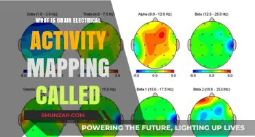 Electrical Brain Activity Mapping: What is it?