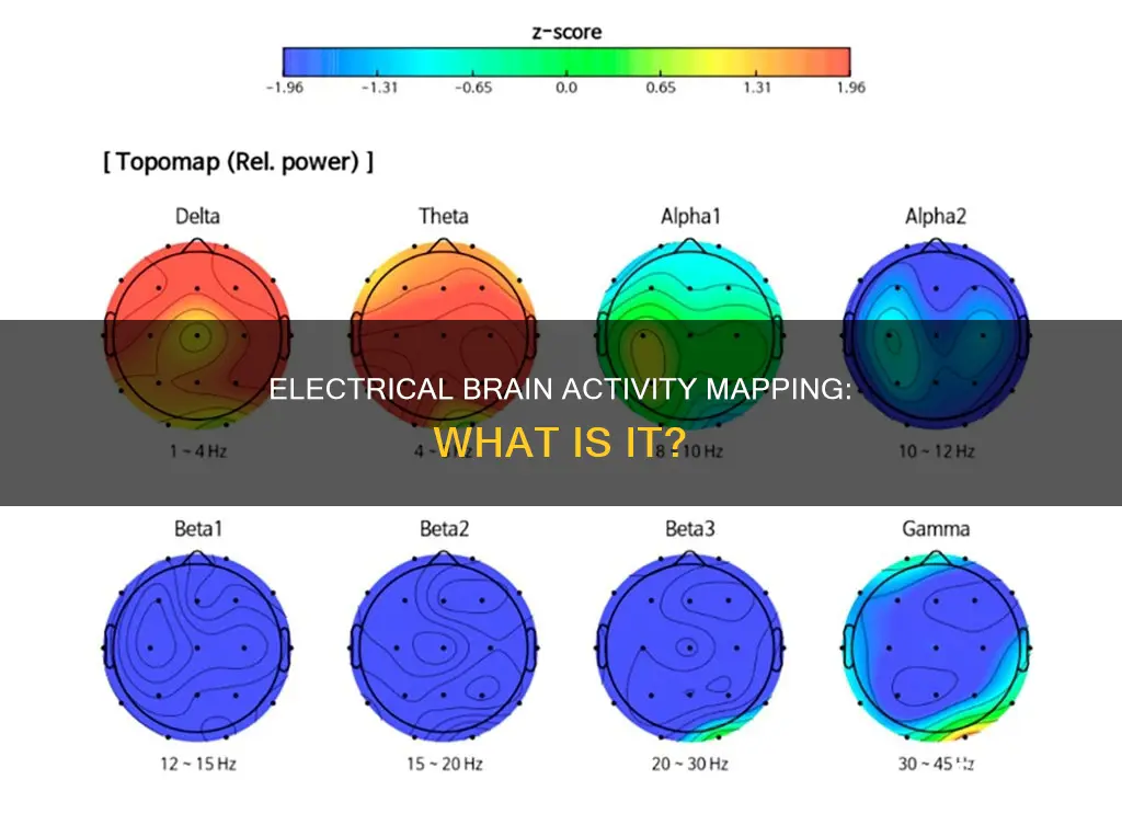 what is brain electrical activity mapping called