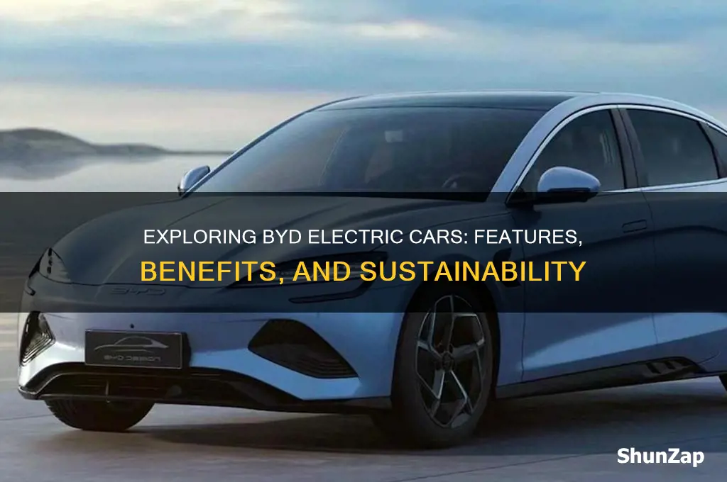 what is byd electric car