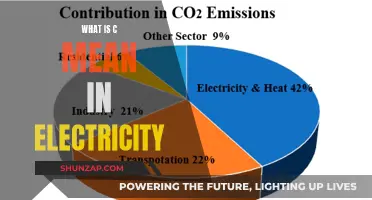 Electricity's C: A Crucial Constant in Current and Charge