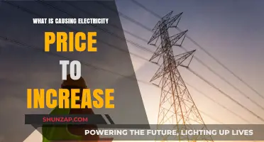 Electricity Prices Surge: Exploring the Root Causes