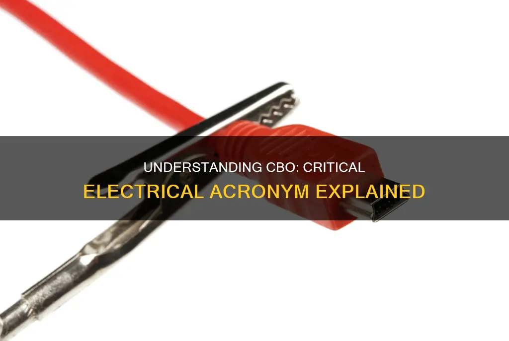 what is cbo mean in electrical
