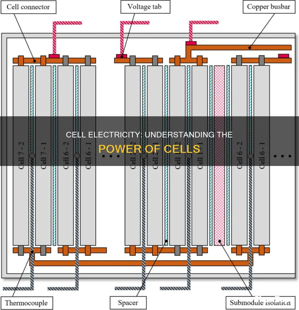 what is cell mean in electricity