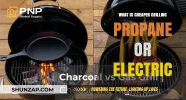 Grilling Costs: Propane vs. Electric