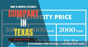 Texas Electric Bill: Uncover the Cheapest Providers