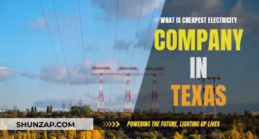 Texas' Cheapest Electricity Company: Who's the Winner?