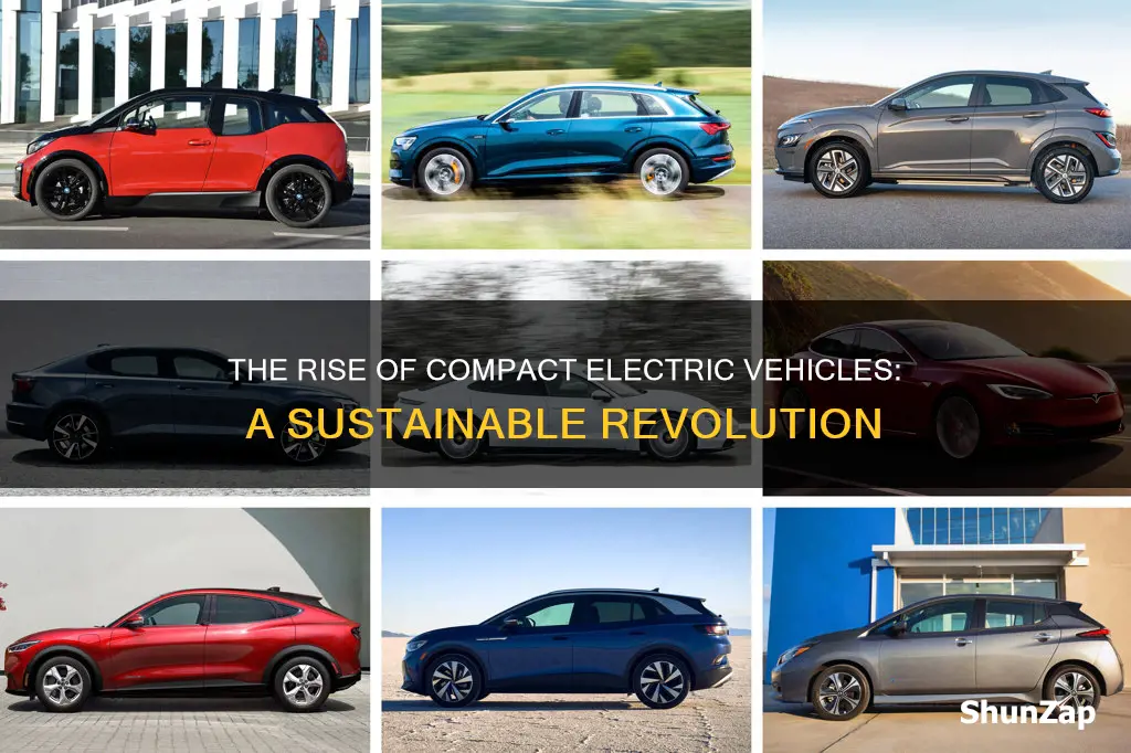 what is compact electric vehicles