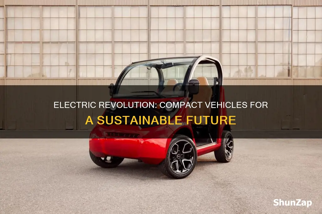 what is compact electric vehicles