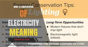Electricity Conservation: Understanding the Basics and Importance