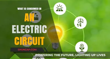 Electric Circuits: Energy, Power, and Consumption