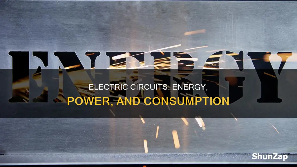 what is consumed in an electric circuit