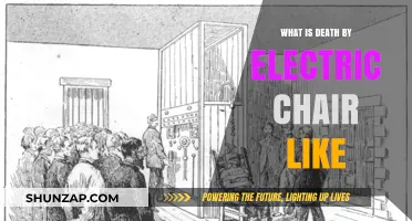 Electric Chair: The Shocking Truth About Death Row